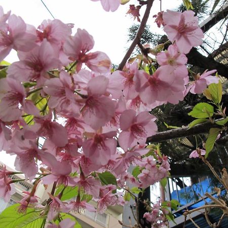 Kawasaki Share House Hotel ภายนอก รูปภาพ